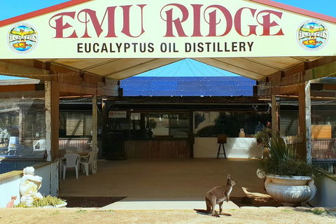 Full-Day Kangaroo Island Safari From Penneshaw - Surfers Paradise Gold Coast 2