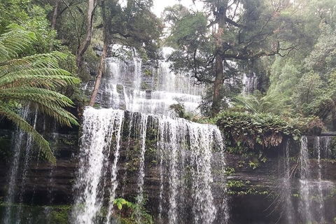 6-Day Hearty Tasmania Tour (Tasmania In A Circle) - Surfers Paradise Gold Coast 0
