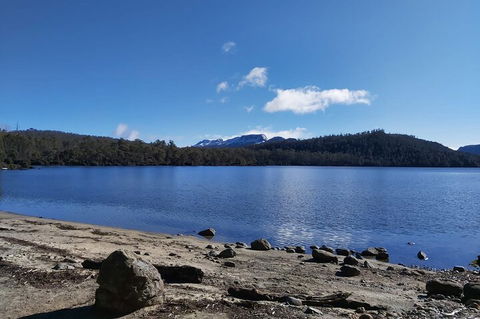 6-Day Hearty Tasmania Tour (Tasmania In A Circle) - Surfers Paradise Gold Coast 1