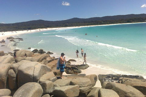 6-Day Hearty Tasmania Tour (Tasmania In A Circle) - Surfers Paradise Gold Coast 3