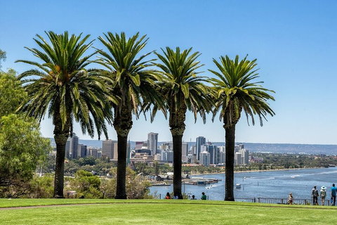 Wonderful Perth Self-Guided Audio Tour - Surfers Paradise Gold Coast 1