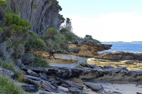 Day Trip To Cronulla & The Royal National Park - Surfers Paradise Gold Coast 4