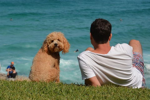 See Sydney With A Local: Private & Personalized - Surfers Paradise Gold Coast 5