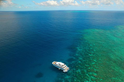 Great Barrier Reef Snorkeling And Diving Cruise From Cairns - Surfers Paradise Gold Coast 4