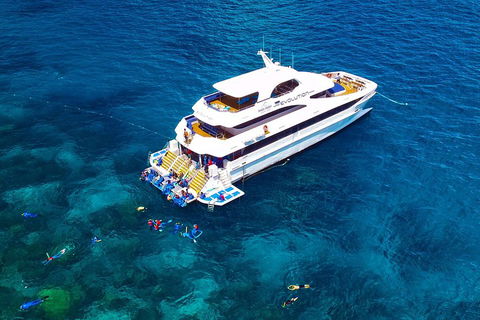 Great Barrier Reef Snorkeling And Diving Cruise From Cairns - Surfers Paradise Gold Coast 5