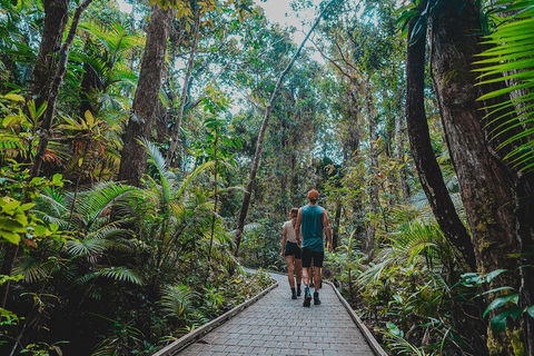 Full Day Cooktown Private Tour - Surfers Paradise Gold Coast 0