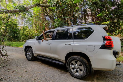 Full Day Cooktown Private Tour - Surfers Paradise Gold Coast 3