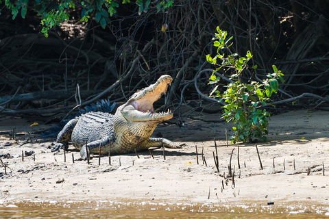 Full Day Cooktown Private Tour - Surfers Paradise Gold Coast 4