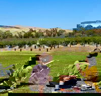 Private Picnic and Wine Tasting Experience in Barossa Valley - Surfers Paradise Gold Coast