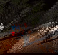 Alice Springs Desert Park Nocturnal Tour - Surfers Paradise Gold Coast