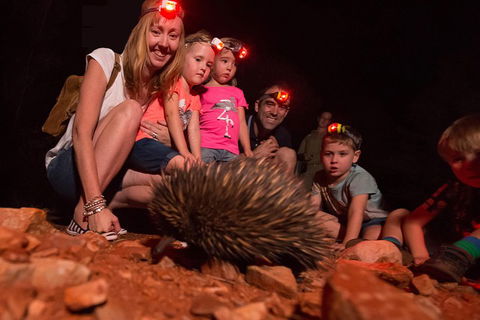 Alice Springs Desert Park Nocturnal Tour - Surfers Paradise Gold Coast 5