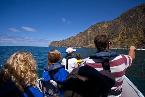 Seal Island Boat Tour From Victor Harbor - Surfers Paradise Gold Coast 0