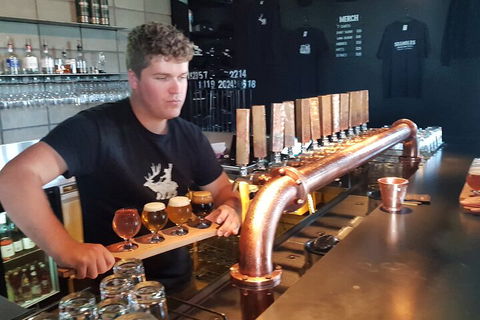 Mt. Wellington Morning Hike + Afternoon Beer & History Walk - Surfers Paradise Gold Coast 0