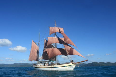 Sydney Harbour Tall Ship Whale & Sail - Whale Watching Cruise - Surfers Paradise Gold Coast 1