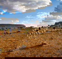 Mount Conner 4WD Small Group Tour from Ayers Rock including Dinner - Surfers Paradise Gold Coast