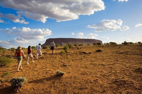 Mount Conner 4WD Small Group Tour From Ayers Rock Including Dinner - Surfers Paradise Gold Coast 0