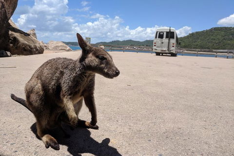 Magnetic Island Tour: Maggie Comprehensive - Surfers Paradise Gold Coast 0