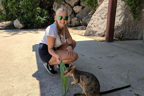 Magnetic Island Tour: Maggie Comprehensive - Surfers Paradise Gold Coast 2