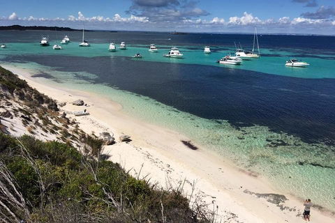 Experience Rottnest With Ferry & Bike Hire From Perth Or Fremantle - Surfers Paradise Gold Coast 0