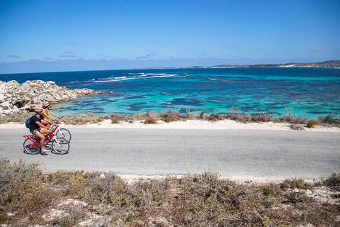 Experience Rottnest With Ferry & Bike Hire From Perth Or Fremantle - Surfers Paradise Gold Coast 2