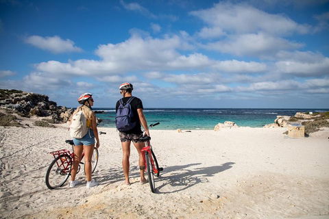 Experience Rottnest With Ferry & Bike Hire From Perth Or Fremantle - Surfers Paradise Gold Coast 5