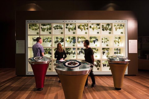 Australian Wine Discovery Tour With Tastings - Surfers Paradise Gold Coast 4