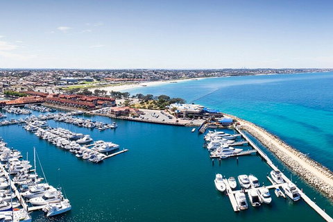 Lunch And General Admission Entry At AQWA - Surfers Paradise Gold Coast 3