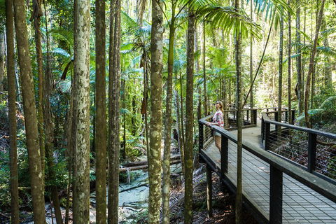 All-Inclusive Fraser Island Day Tour - Surfers Paradise Gold Coast 5