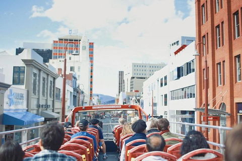 Hobart Hop-on Hop-off Bus Tour - Surfers Paradise Gold Coast 2