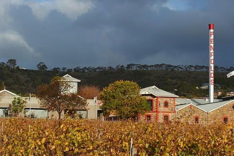 Penfolds Magill Estate Iconic Experience - Surfers Paradise Gold Coast 3