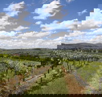 Hunter Valley Wine Tour from Sydney incl Lunch Cheese Chocolate and Distillery - Surfers Paradise Gold Coast