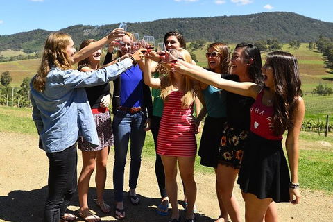 Hunter Valley Wine Tour From Sydney Incl Lunch, Cheese, Chocolate And Distillery - Surfers Paradise Gold Coast 3