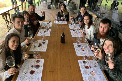 Hunter Valley Wine Tour From Sydney Incl Lunch, Cheese, Chocolate And Distillery - Surfers Paradise Gold Coast 4
