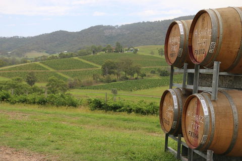 Hunter Valley Wine Tour From Sydney Incl Lunch, Cheese, Chocolate And Distillery - Surfers Paradise Gold Coast 5