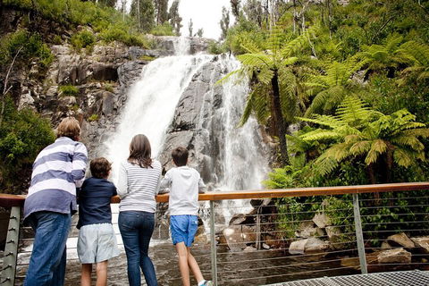 Lake Mountain Snow Trip Including Yarra Valley Chocolaterie From Melbourne - Surfers Paradise Gold Coast 0