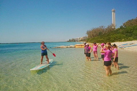 Golden Beach 1-Hour Stand-Up Paddleboard Hire On The Sunshine Coast - Surfers Paradise Gold Coast 1