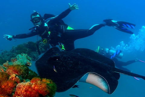 Scuba Dive The S.S. Yongala Wreck On The Great Barrier Reef. - Surfers Paradise Gold Coast 0