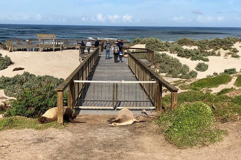 Kangaroo Island 4WD Tour - Best Of KI - Surfers Paradise Gold Coast 2