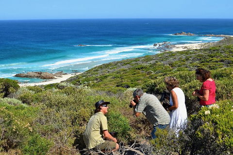 Margaret River Coastal And Wildlife Eco Trip From Busselton Or Dunsborough - Surfers Paradise Gold Coast 2