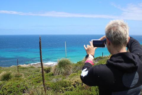 Margaret River Coastal And Wildlife Eco Trip From Busselton Or Dunsborough - Surfers Paradise Gold Coast 3